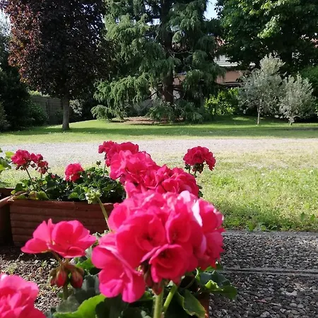 Bed & Breakfast Il Nido Della Dani