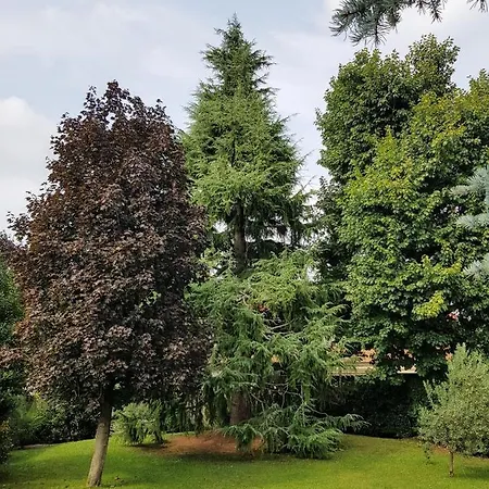 Il Nido Della Dani Couette-café Busto Arsizio